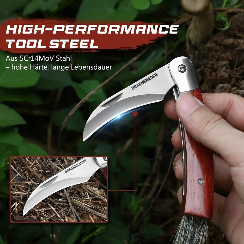 DRACHENADER Mushroom Knife N-1, 8.15" Folding Mushroom Knife with Brush, Leather Sheath, 5Cr14MoV Stainless Steel Blade, secure Liner-Lock Design for Foraging and Harvesting - Image 2